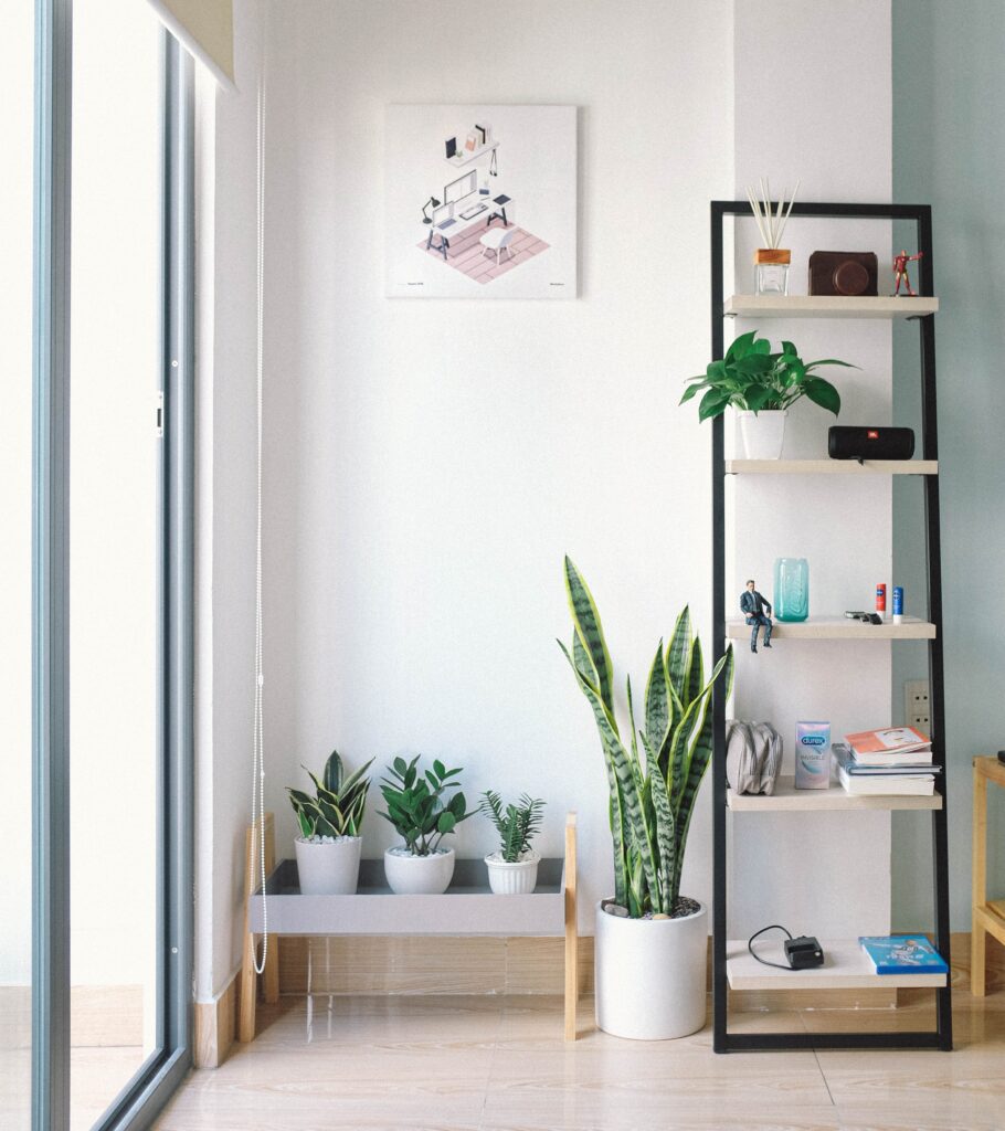 A room with plants and shelves.
